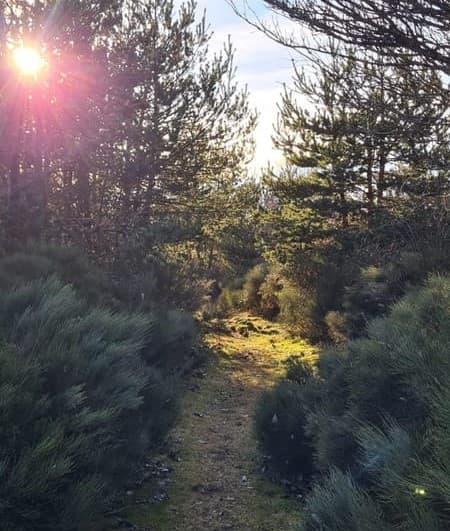 L'Automnale du Randon - image