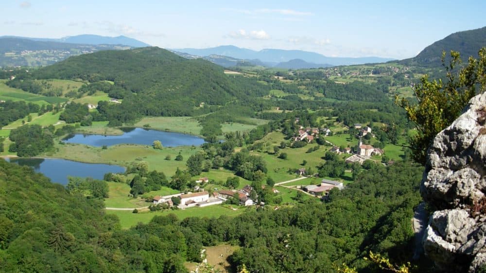 Triathlon du Chat - image