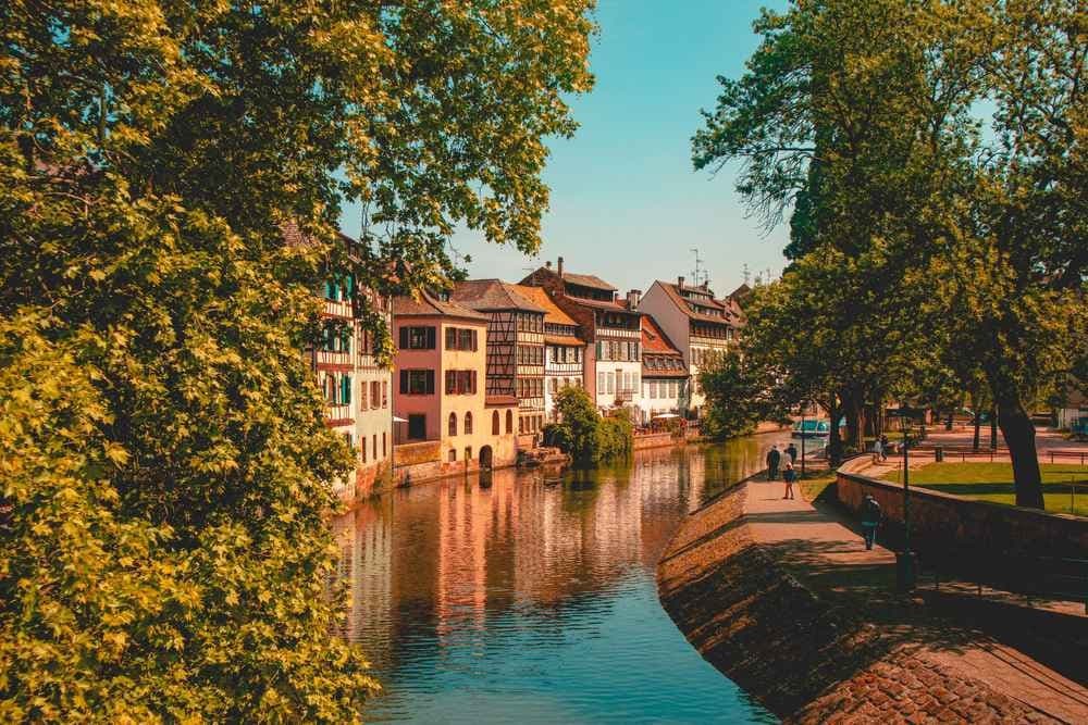 La conviviale - image