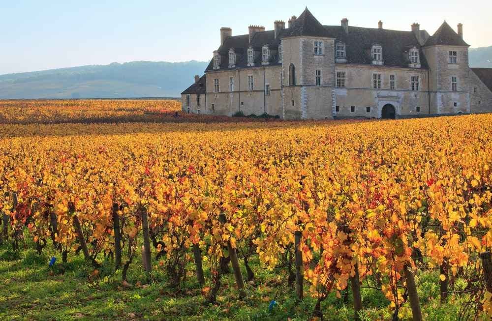 Le trail de Santenay - image