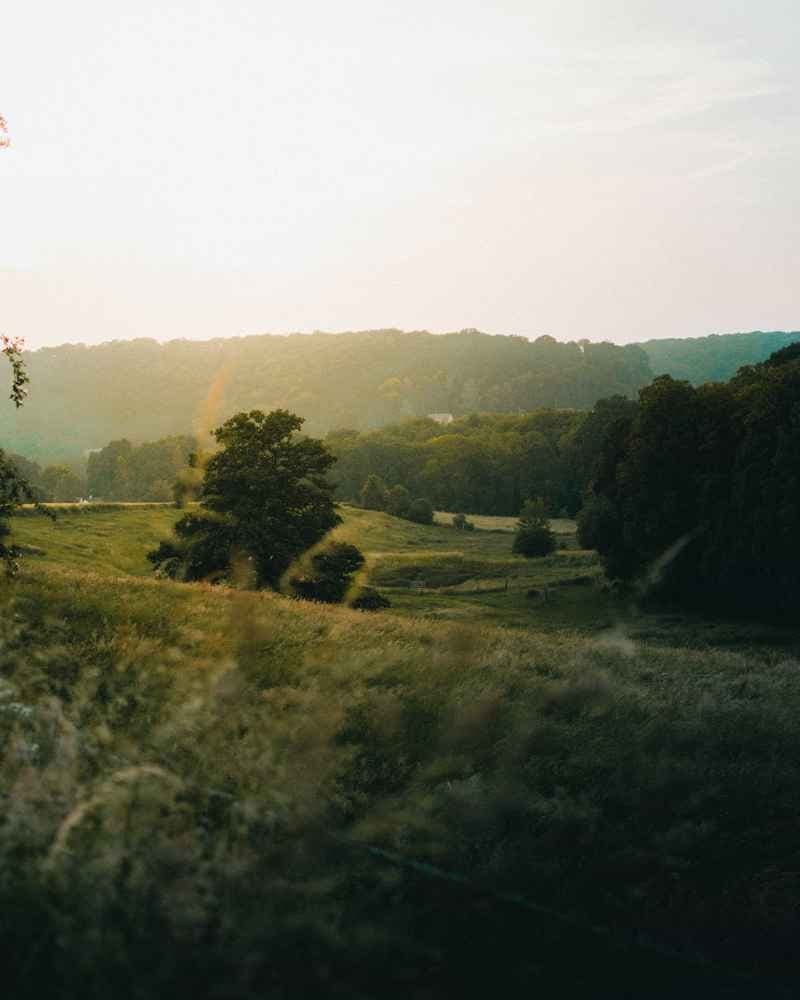 Les foulées andelysiennes - image
