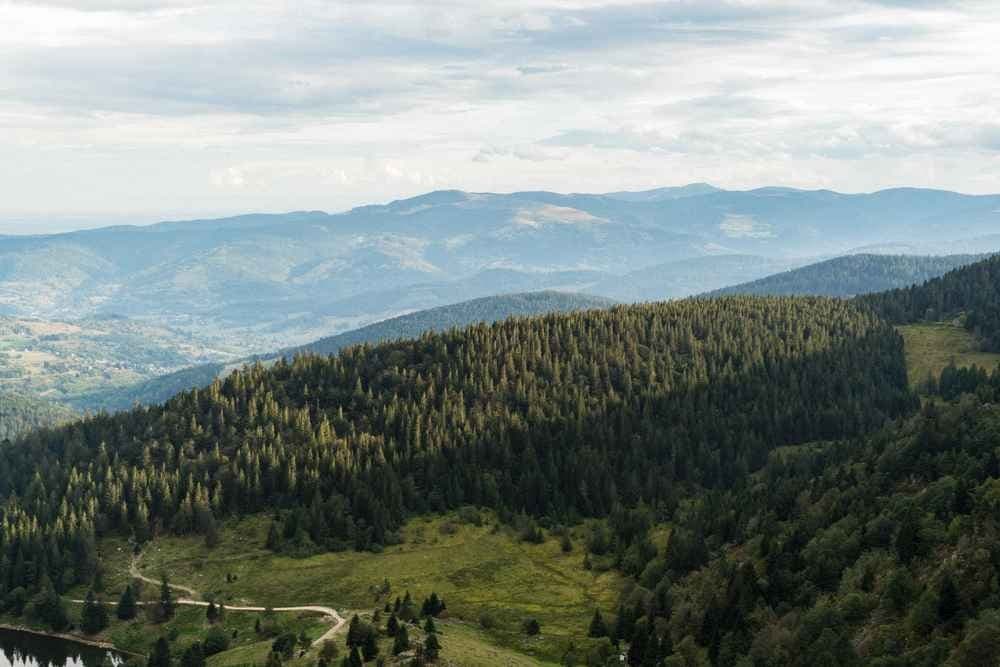 L'infernal trail des Vosges - image