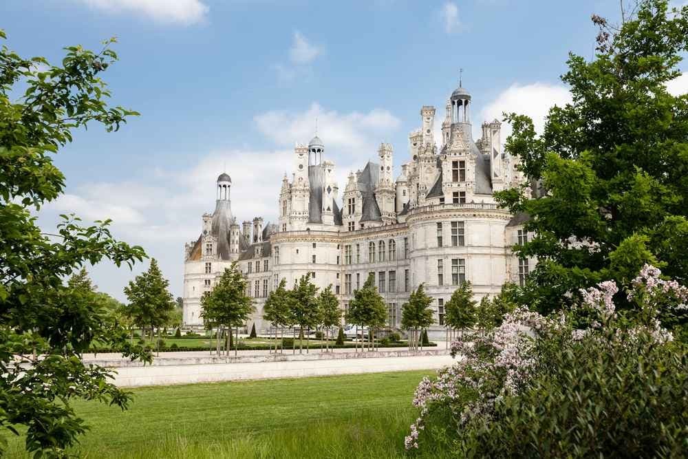 Les foulées du bord de Loire - image