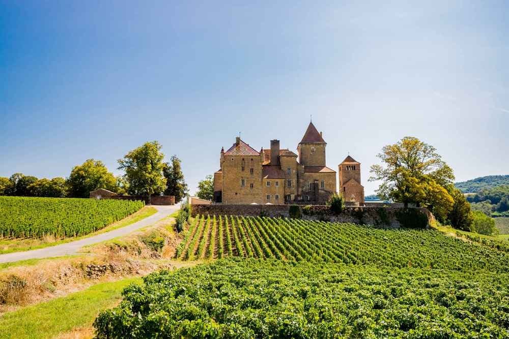 Foulées saint-pierroises - image