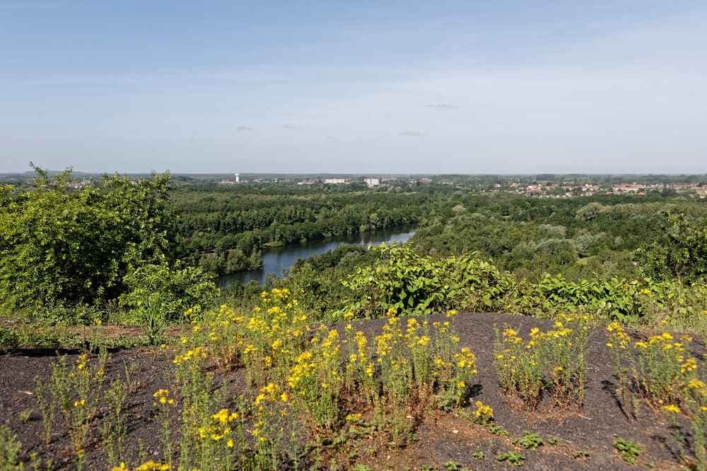 La panoramique du Mont des Cats - image