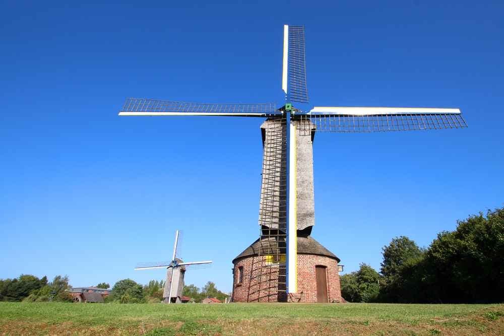 Xaltante  - image