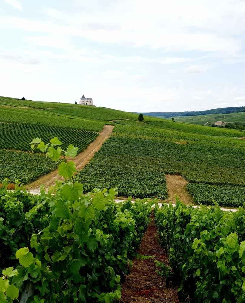 Courir à Bezannes - image