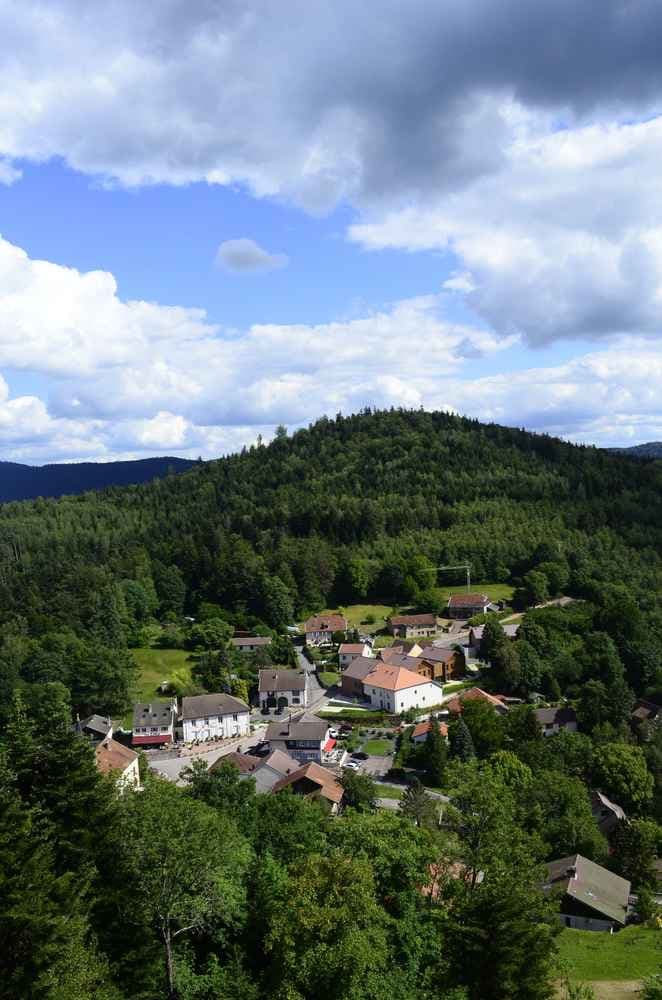 La tranchée des loups - image