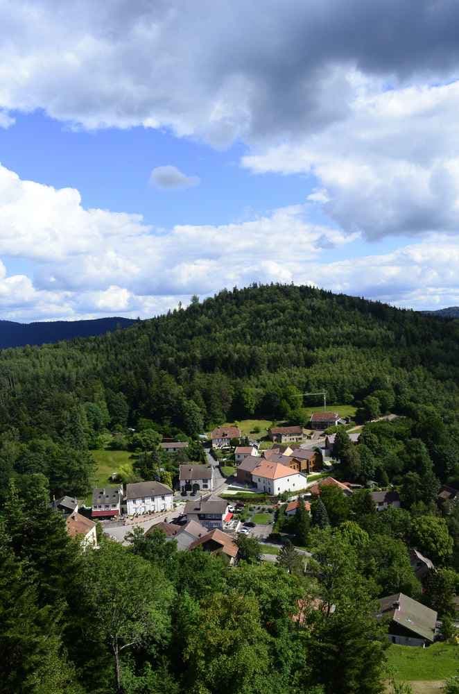 Courses des vendanges - image