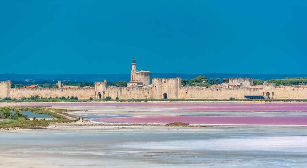 Duo nocturne des camargues - image