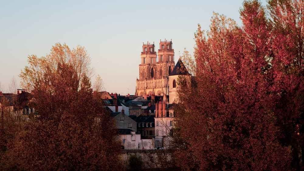 Randonnée Téléthon Orléans - image