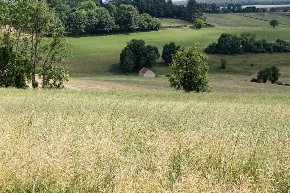 Aquathlon de Langres - image