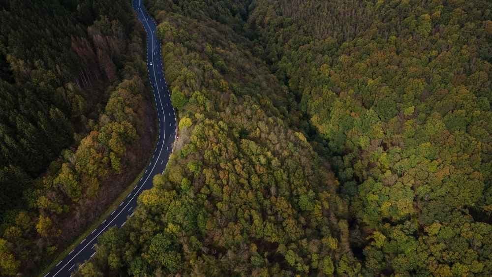 Trail'loween - image