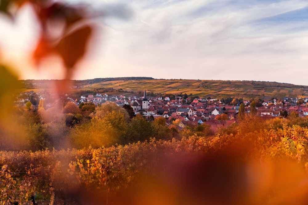 OUTDOOR CYCLING SERIES - Vosges du Nord - image