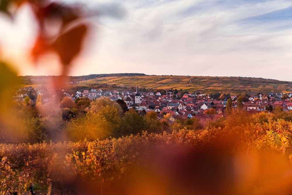 Trail alsace grand est by utmb - image