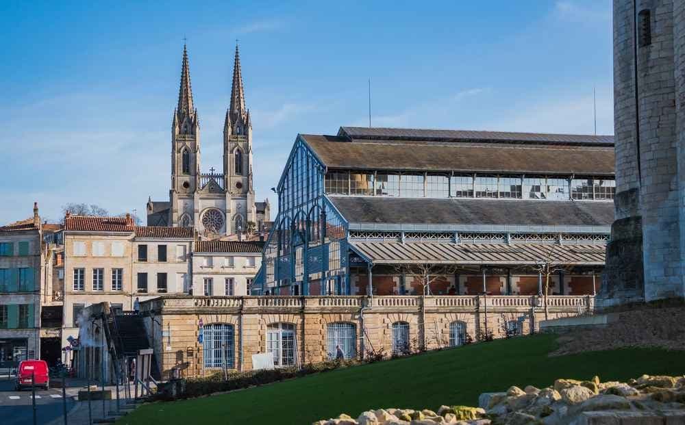 Les gazelles de niort - image