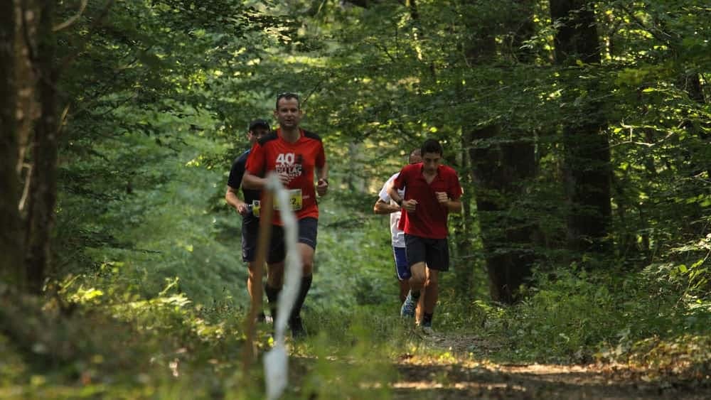 Trail Toulon court Diverti'Run - image